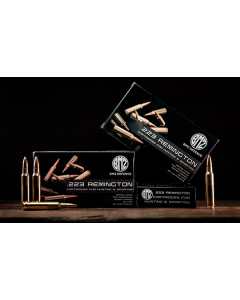 BMZ Brass Case .223 55gr FMJ 400rd Spam Can 