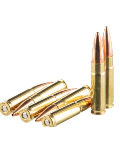 Bulk Ammo Solutions 300 BO 220gr Hornady Subsonic 200rd Bulk Pack