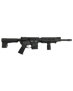 Dark Storm DS-15 Non-NFA Firearm MOE 5.56/300 Blackout