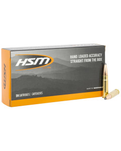 HSM 300 AAC 150gr BTSP 20rd Box