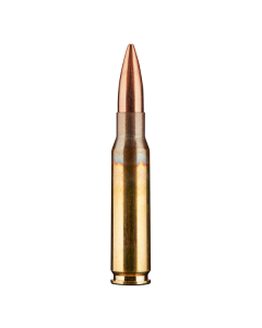 .308 Win 175gr HPBT Subsonic